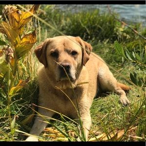 Meet your Posher, Connie